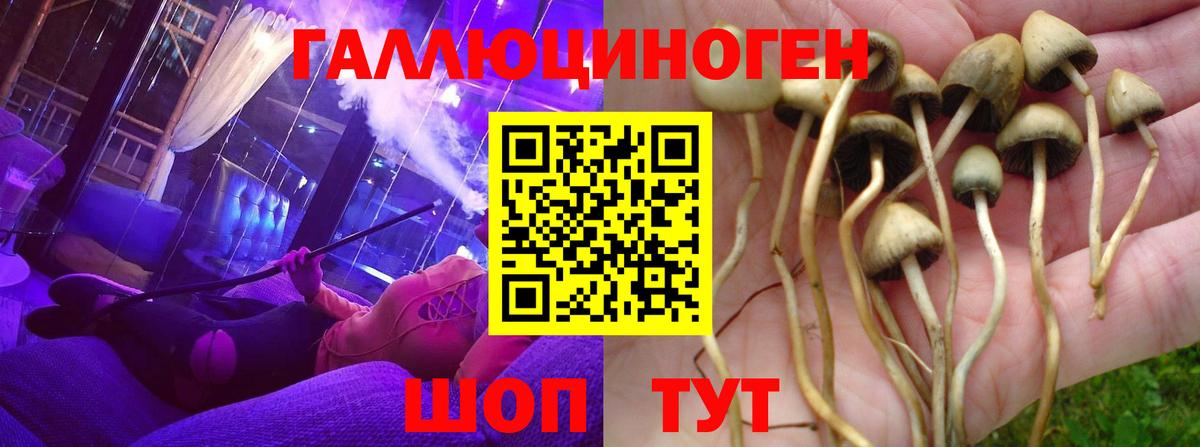 Каспийск  Псилоцибиновые грибы GOLDEN TEACHER  Вход с VPN 